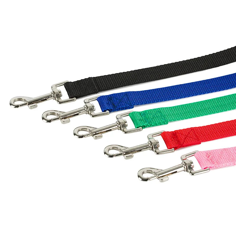 Nylon Dog Training Leash