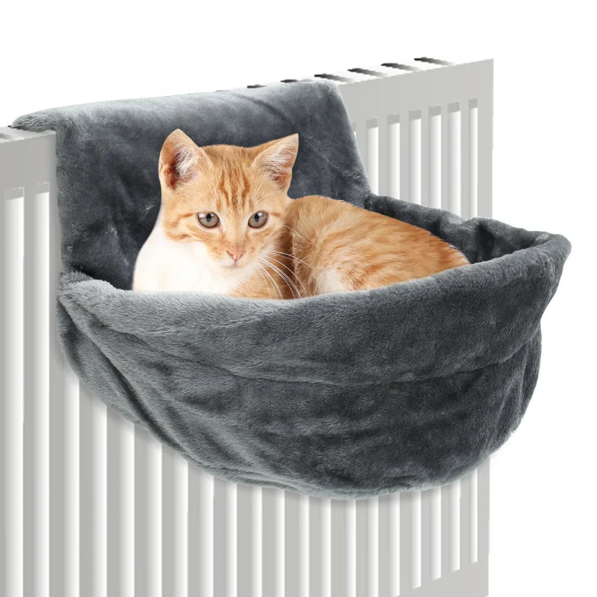 Cat Hanging Hammock