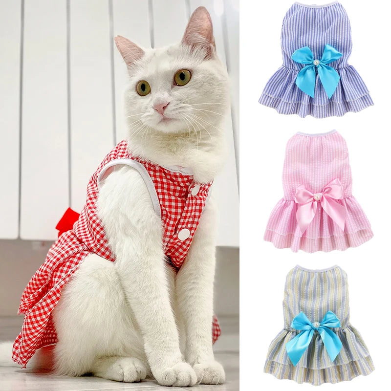 Cat Princess Dress For Summer