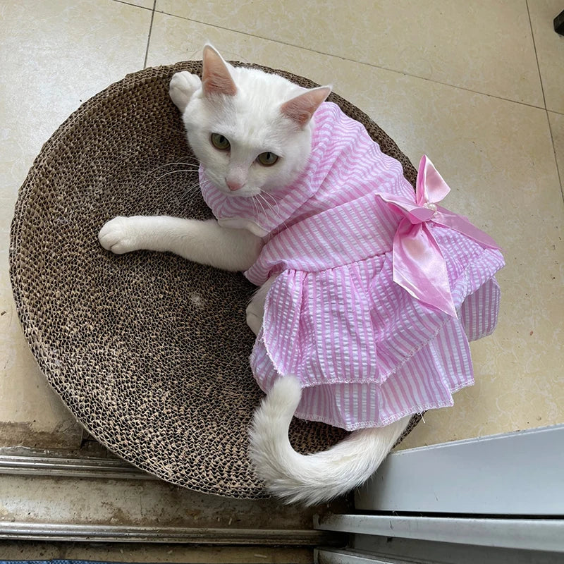 Cat Princess Dress For Summer