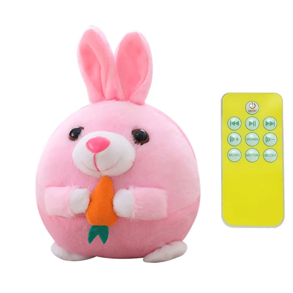 USB Electronic Pet Music Toy