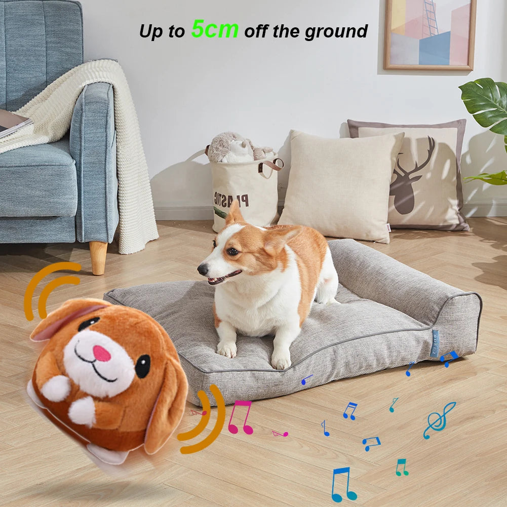 USB Electronic Pet Music Toy