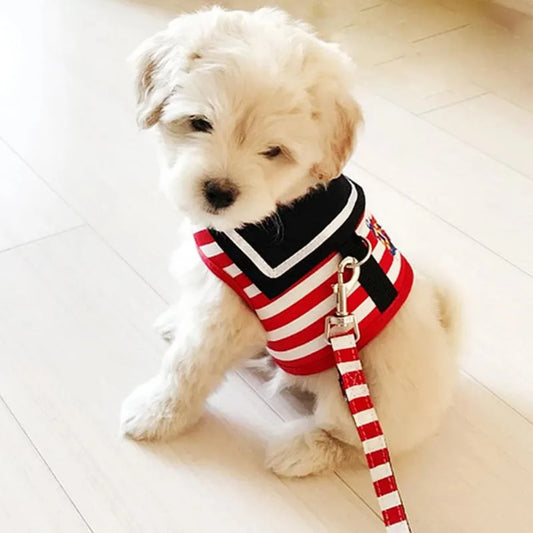 Adjustable Suit Style Harness & Leash
