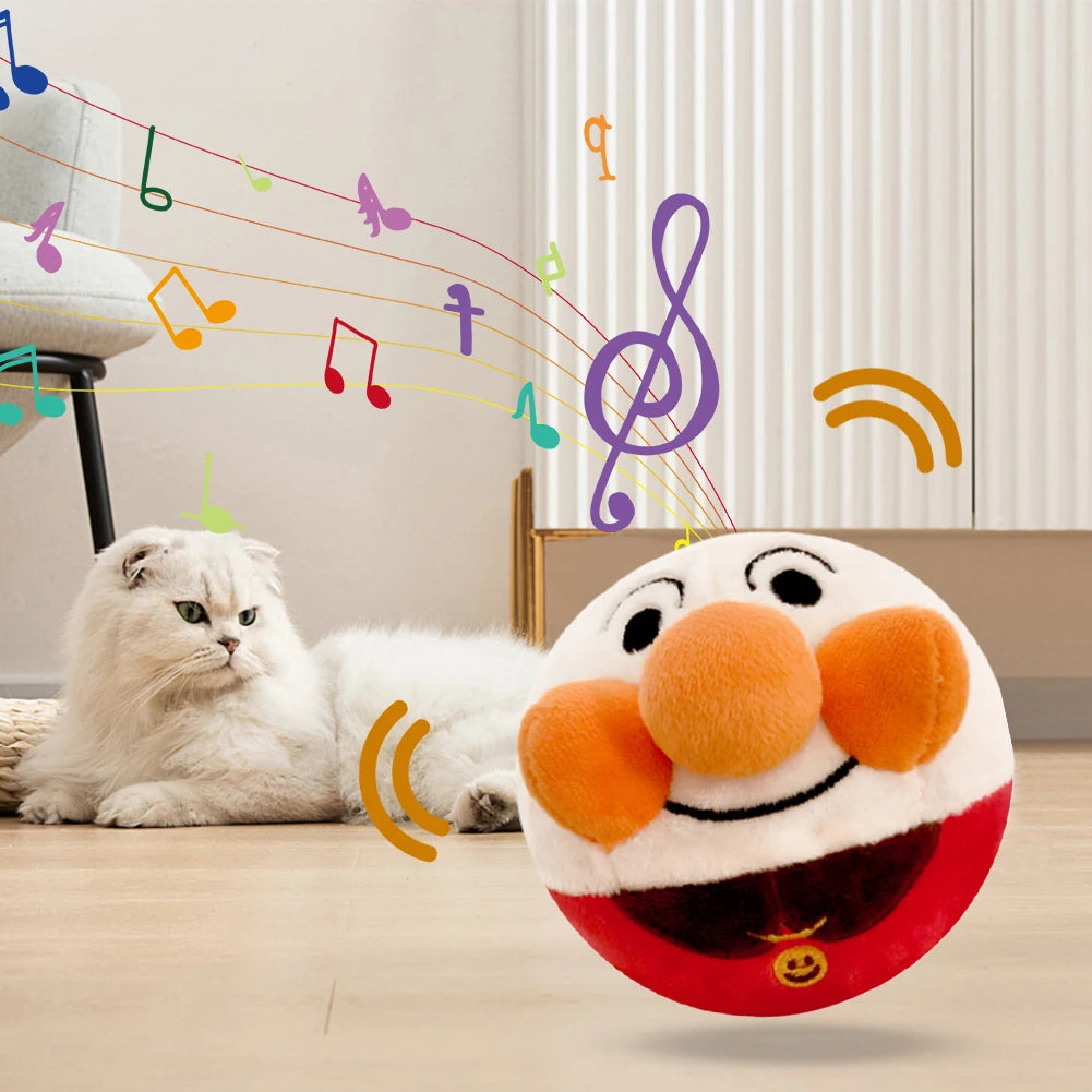 USB Electronic Pet Music Toy