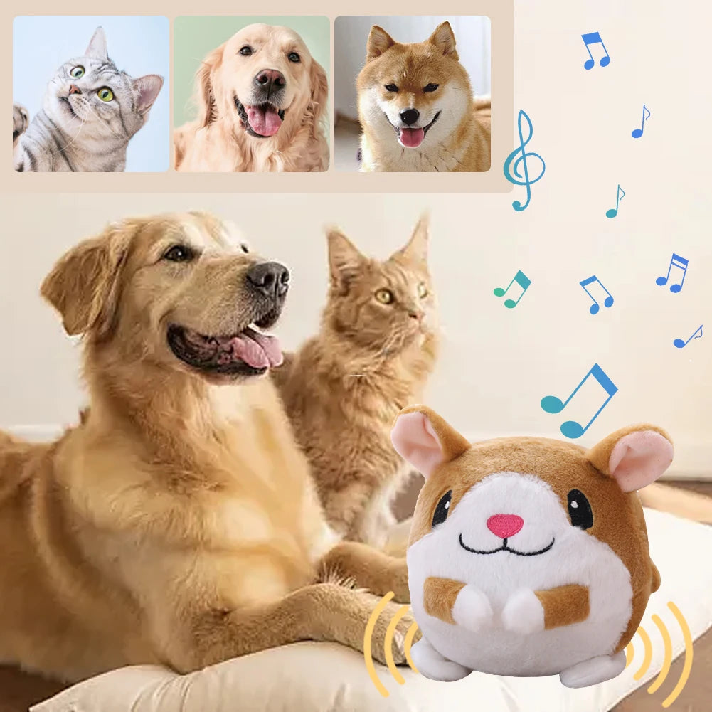 USB Electronic Pet Music Toy