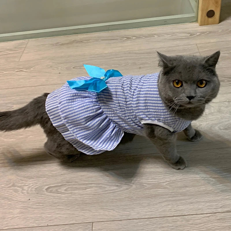Cat Princess Dress For Summer