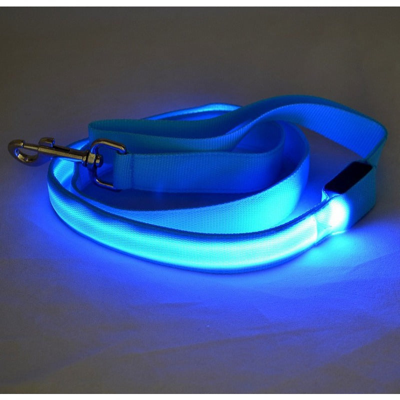 Pet LED Collar