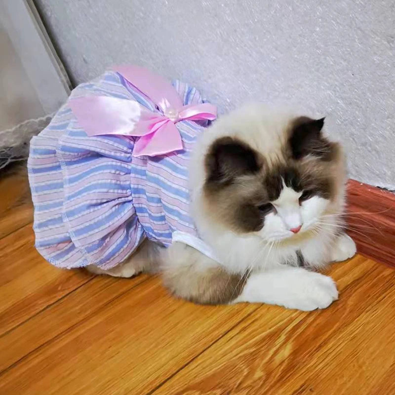 Cat Princess Dress For Summer
