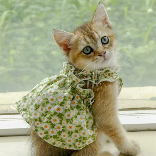 Princess Cotton Cat Skirt