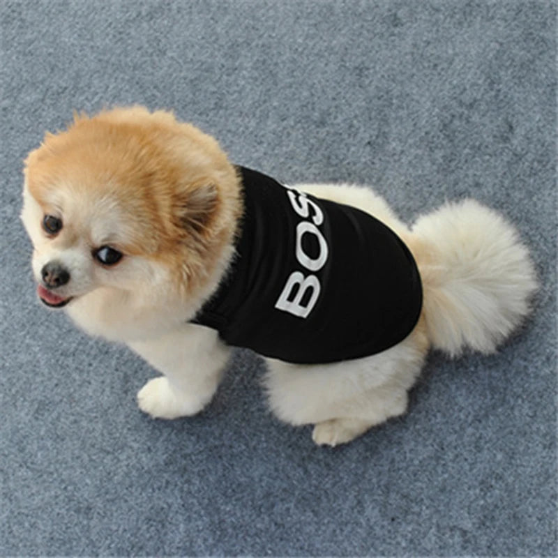Security Written Summer Vest for Small Dogs