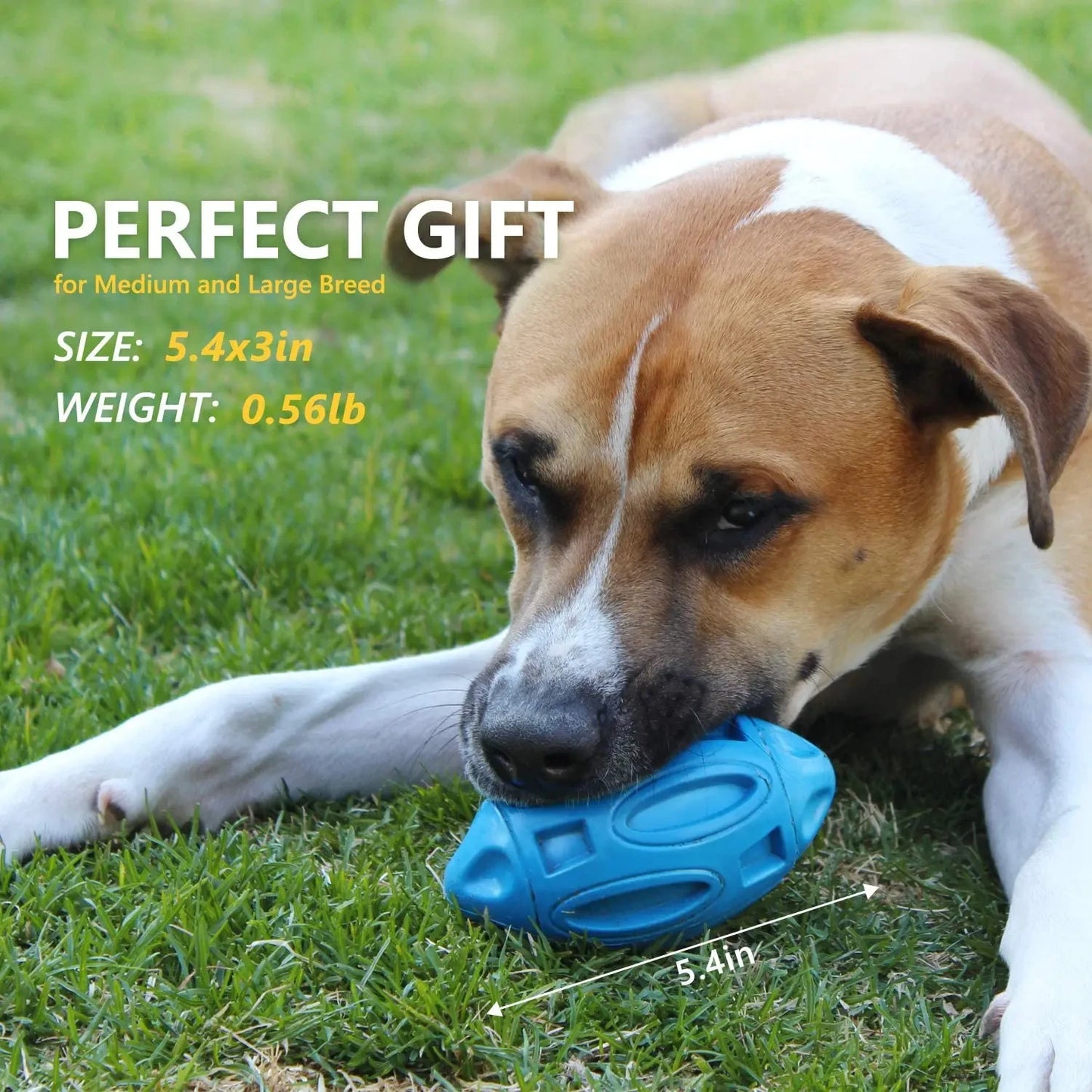 Squeaky Chewable Dog Toy