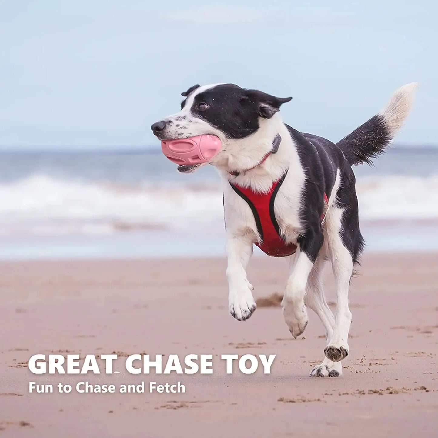 Squeaky Chewable Dog Toy