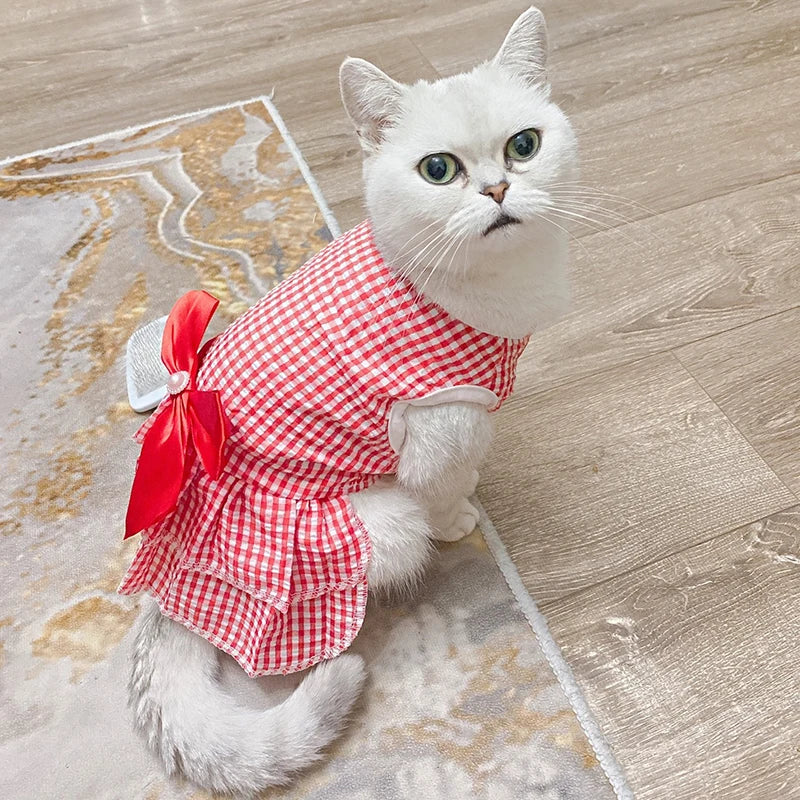 Cat Princess Dress For Summer
