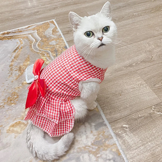 Cat Princess Dress For Summer
