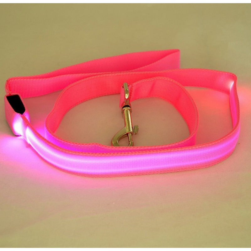 Pet LED Collar