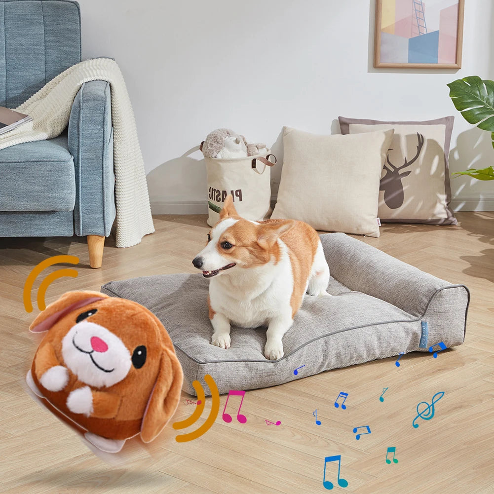 USB Electronic Pet Music Toy