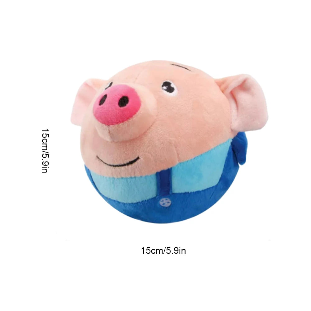 USB Electronic Pet Music Toy