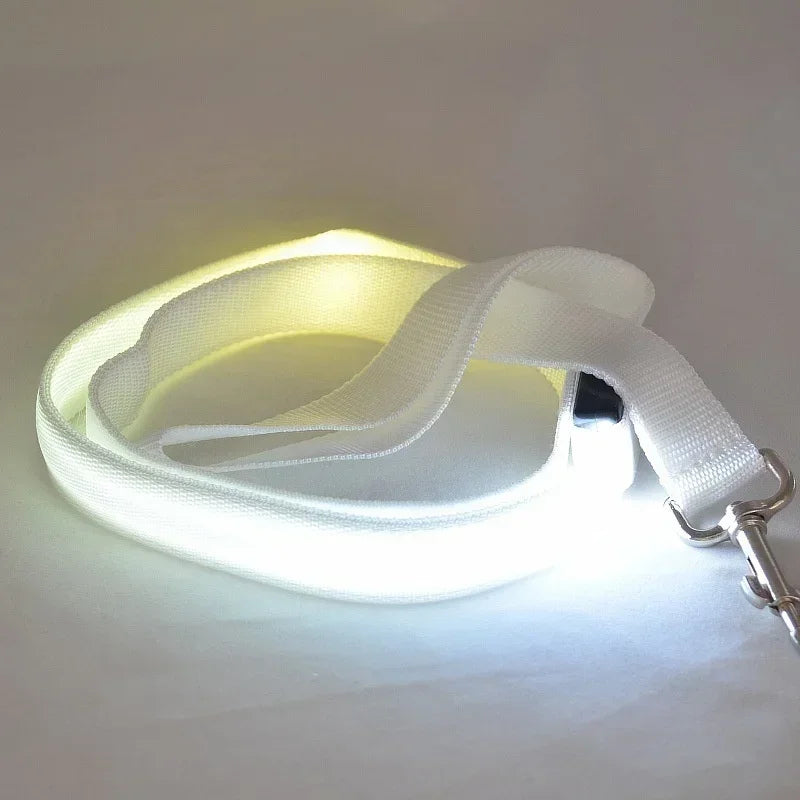 Pet LED Collar
