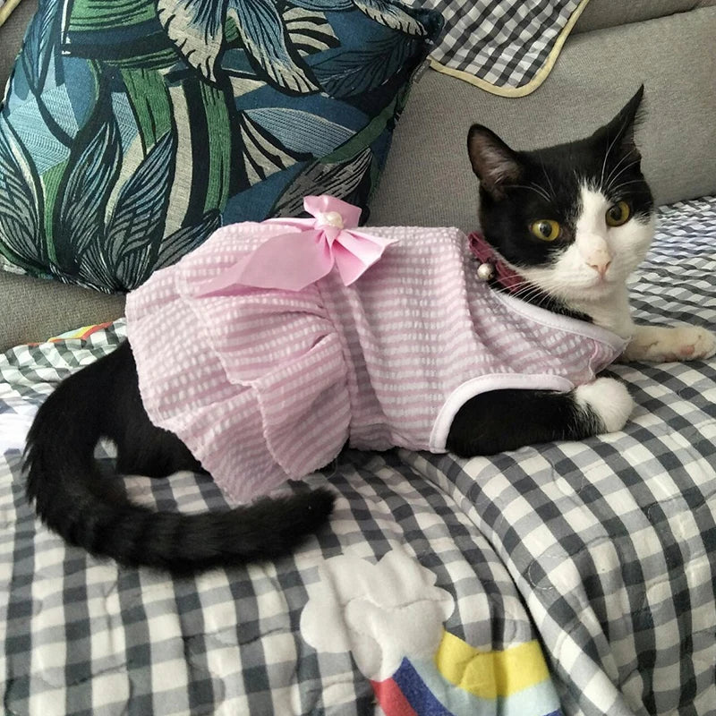 Cat Princess Dress For Summer