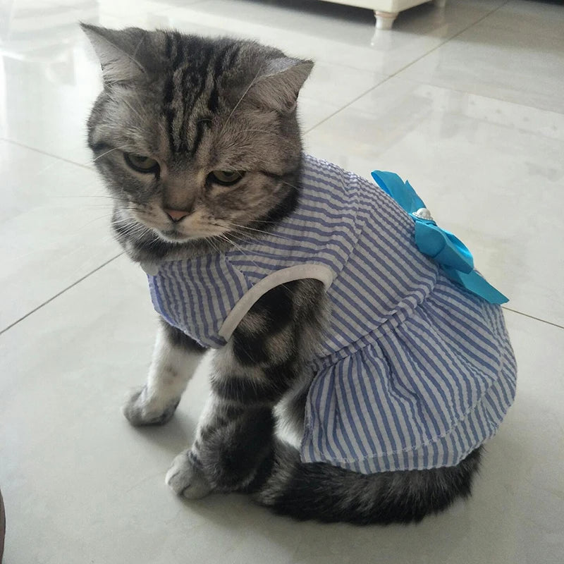 Cat Princess Dress For Summer