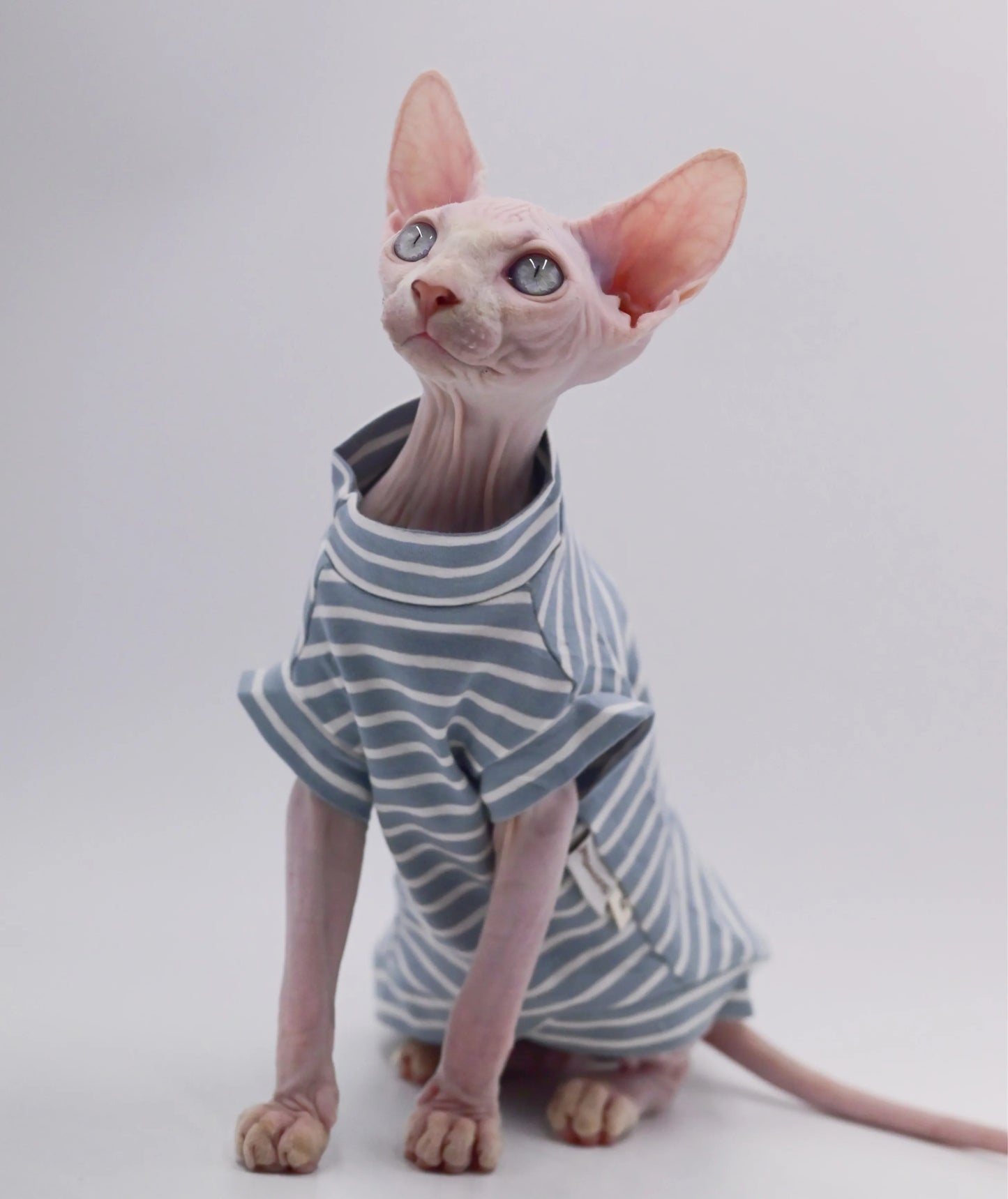 Cat Cotton Vest Cloth