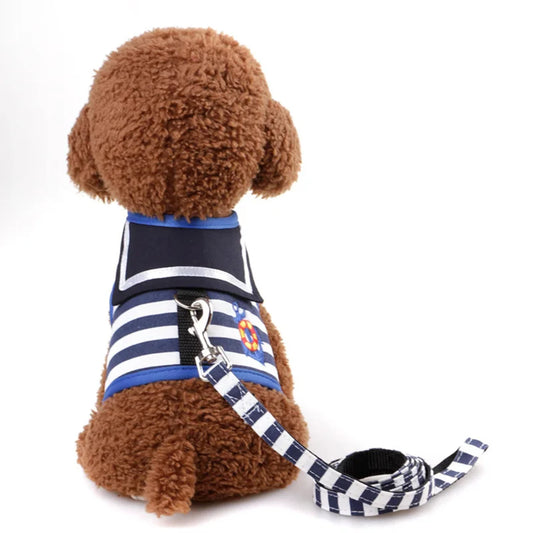 Adjustable Suit Style Harness & Leash