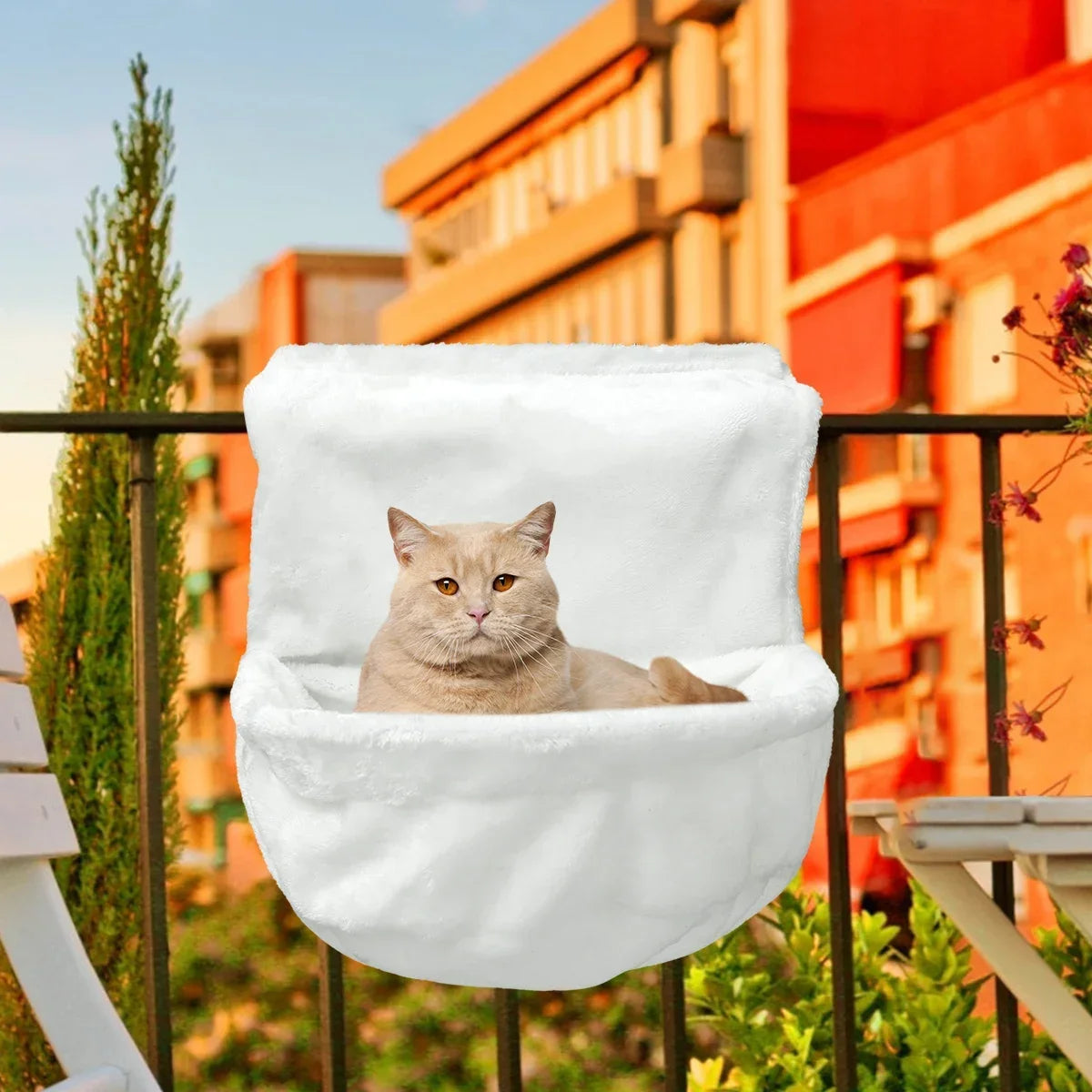 Cat Hanging Hammock