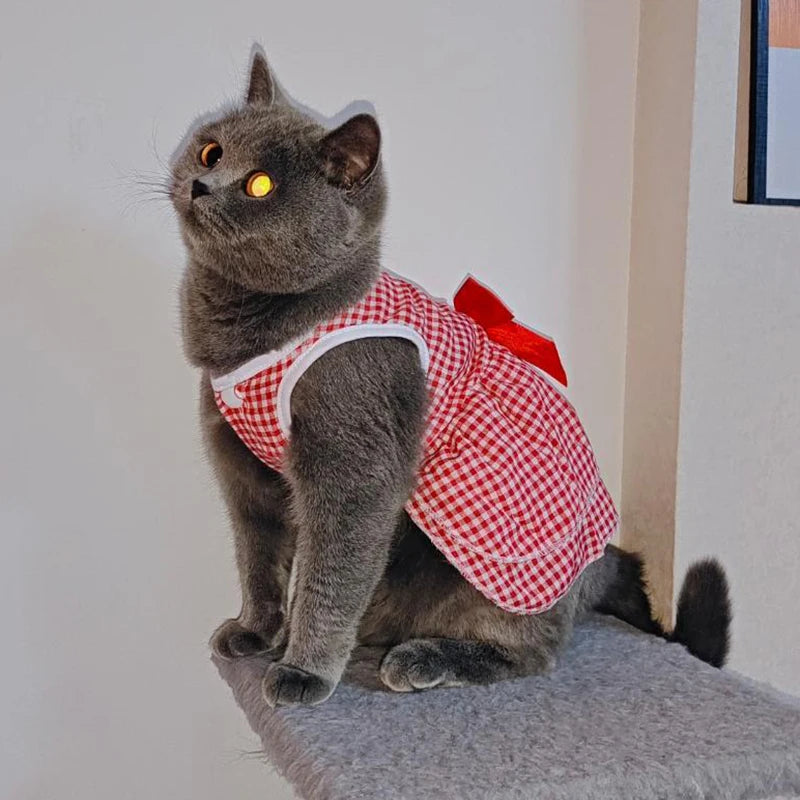 Cat Princess Dress For Summer