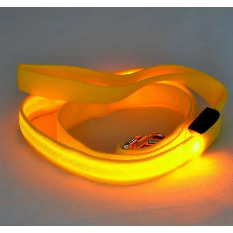 Pet LED Collar