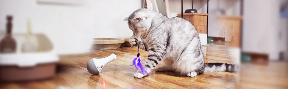 Funny Feather Kitten Teaser Toy