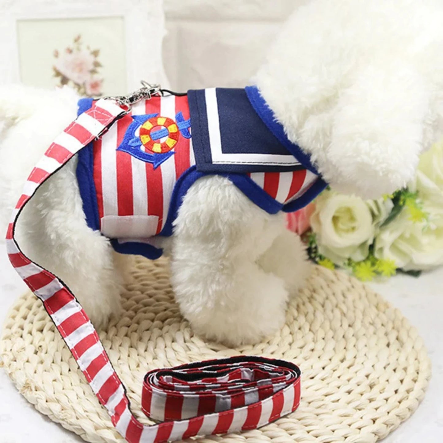 Adjustable Suit Style Harness & Leash