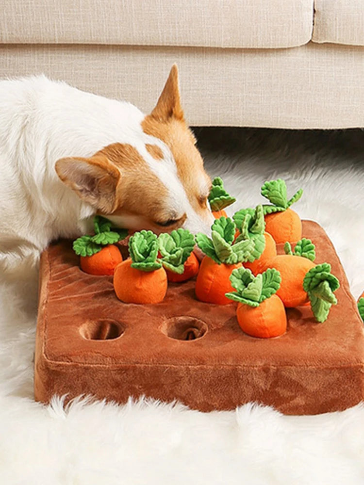 Carrots Enrichment Dog Puzzle Toys