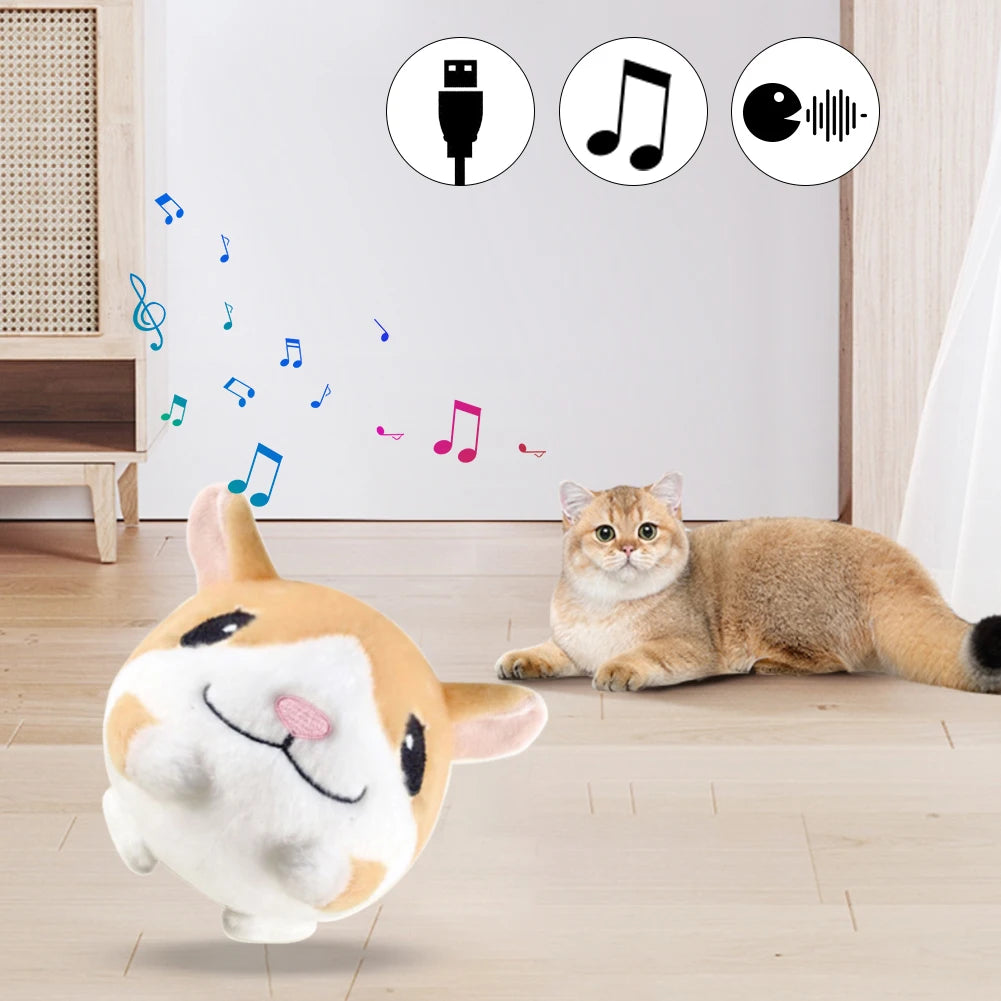 USB Electronic Pet Music Toy