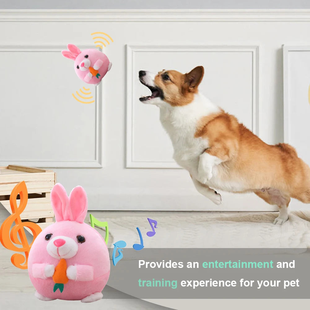 USB Electronic Pet Music Toy