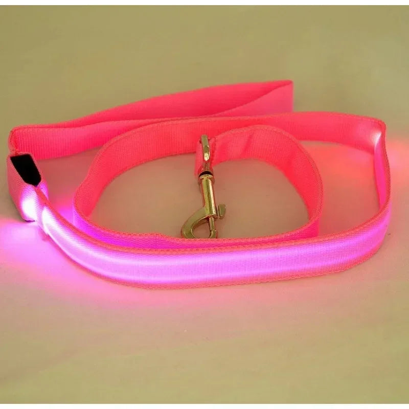 Pet LED Collar