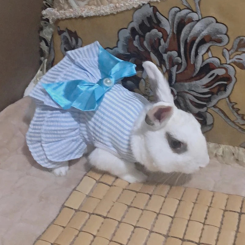 Cat Princess Dress For Summer