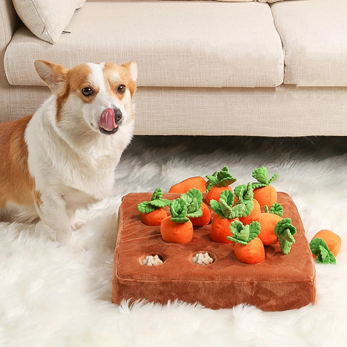 Carrots Enrichment Dog Puzzle Toys