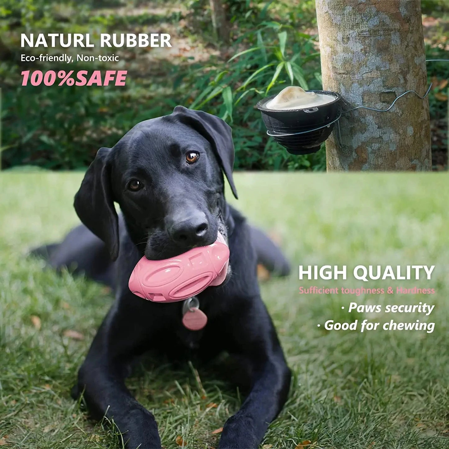 Squeaky Chewable Dog Toy