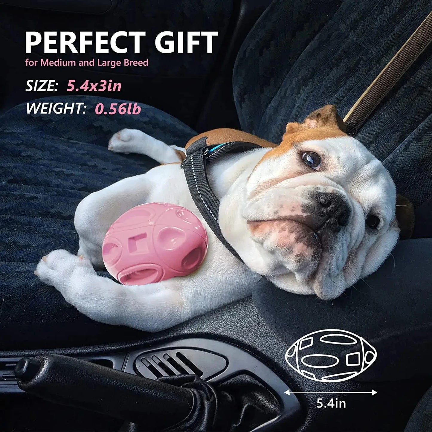 Squeaky Chewable Dog Toy