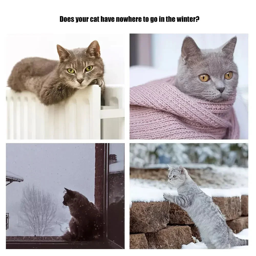 Cat Hanging Hammock