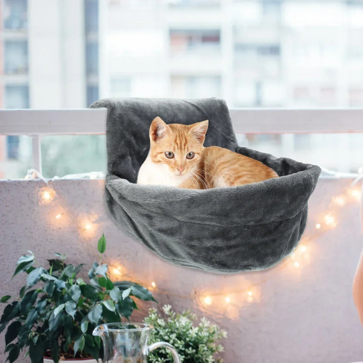 Cat Hanging Hammock