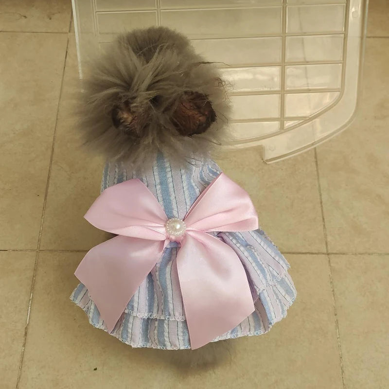 Cat Princess Dress For Summer
