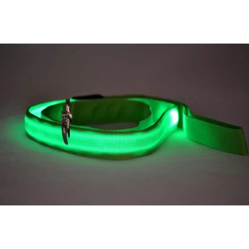 Pet LED Collar
