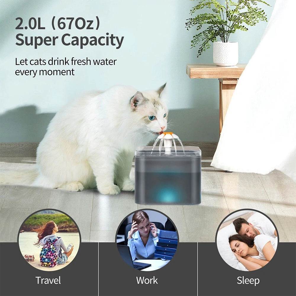 2L Cat Water Fountain