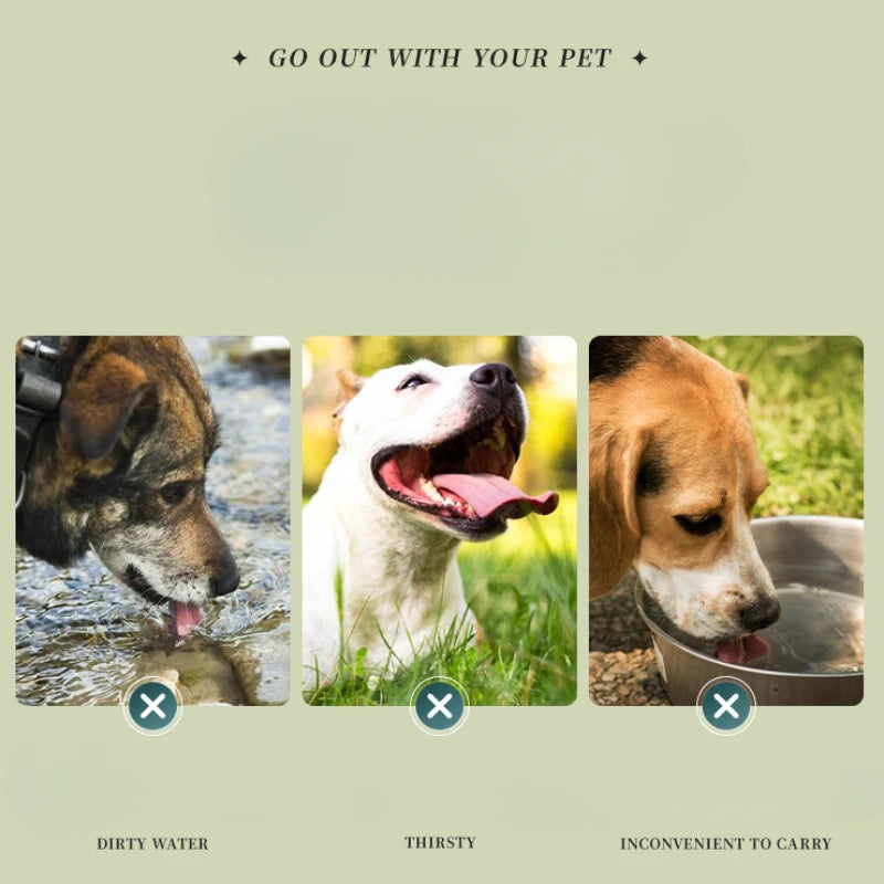 Dog Pet Folding Silicone
