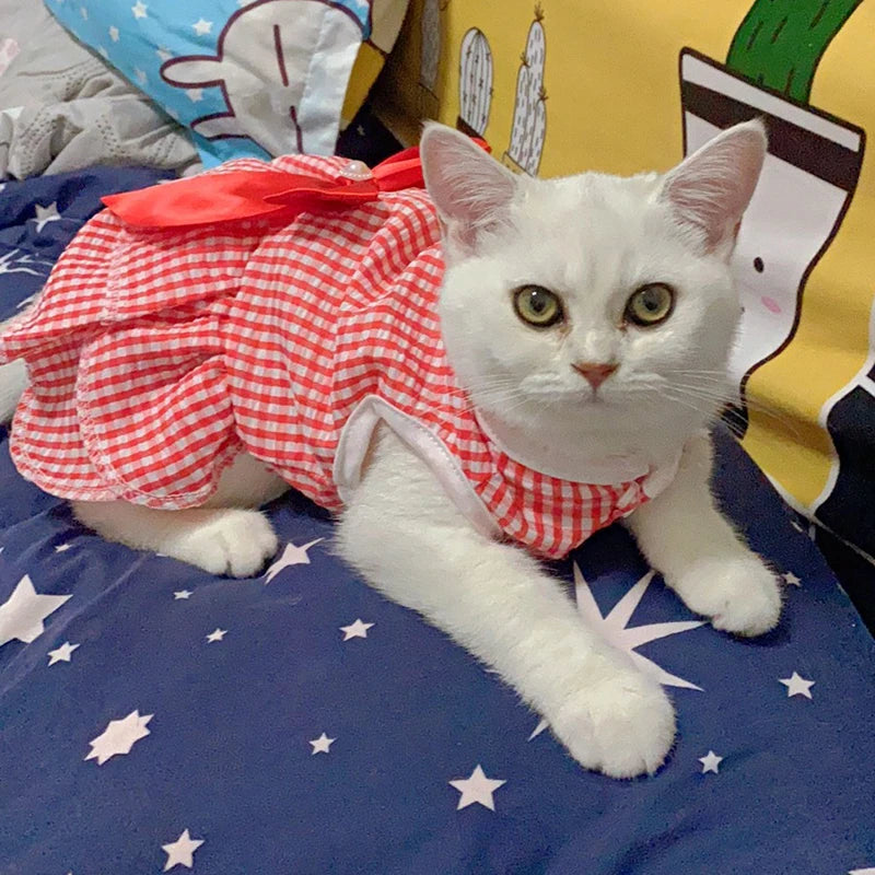 Cat Princess Dress For Summer