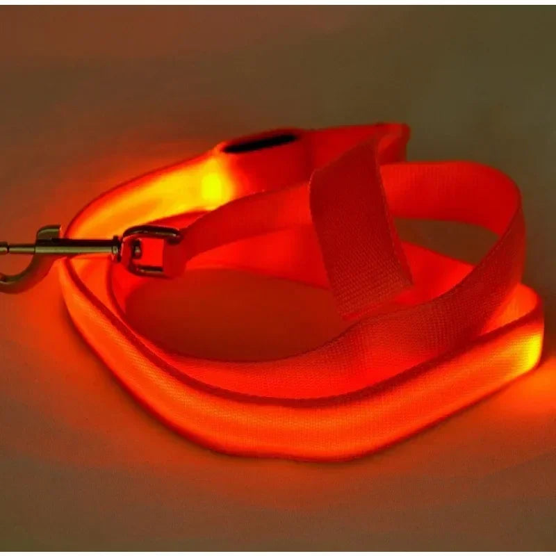 Pet LED Collar