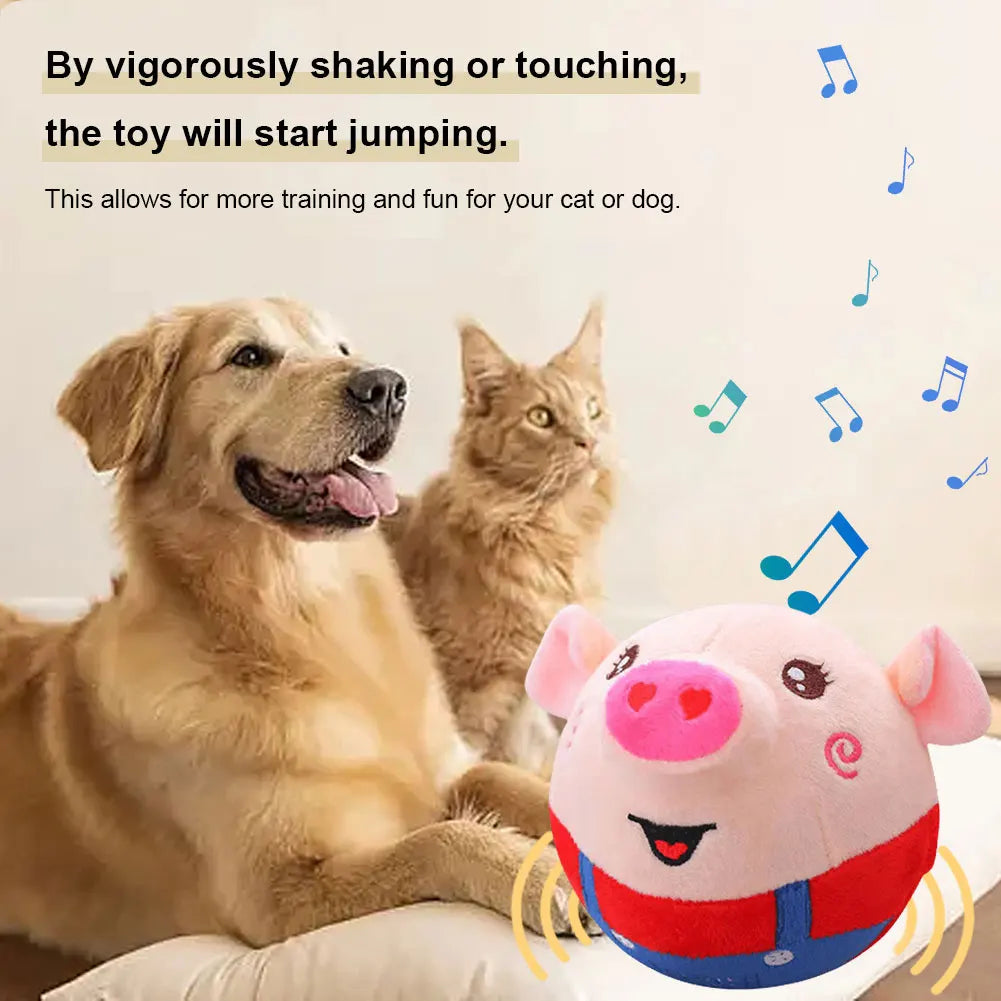 USB Electronic Pet Music Toy