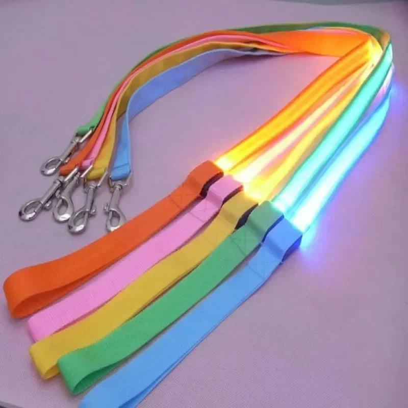 Pet LED Collar