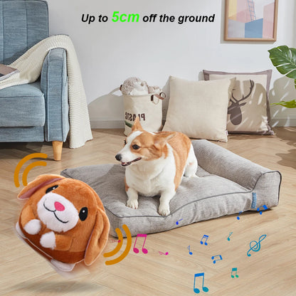 USB Electronic Pet Music Toy